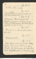 Seite 20, Tagebuch "Ossarn 1928" (NHMW-PRAE-BBB-21)